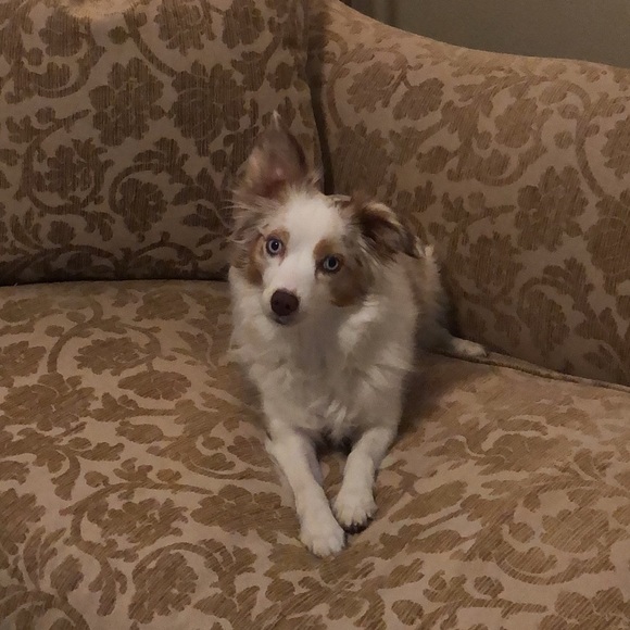 Profile Picture of Lex Teichman (@lexteichman) on Poshmark