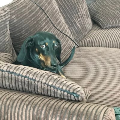 Profile Picture of Carlos Blanco (@Chalkywhite1974) on Twitter