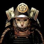 Profile Picture of Nils Lantto (@nilslantto) on Instagram