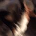 Profile Picture of Ben Runge (@ben_runge) on Pinterest