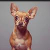 Profile Picture of im_cosette (@im_cosette) on Tiktok