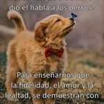 Profile Picture of Glori Collado (@gloricollado) on Instagram