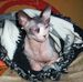 Profile Picture of Margaret Lombard Shukwit (@margaret.lombardshukwit.7) on Facebook