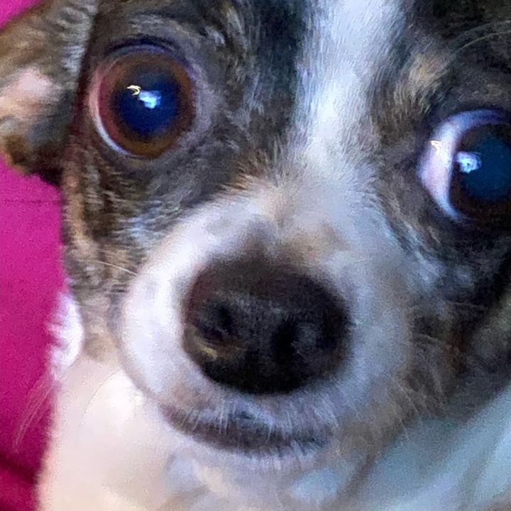 Profile Picture of ⚡️Electrical God⚡️ (@donnysepulveda) on Tiktok