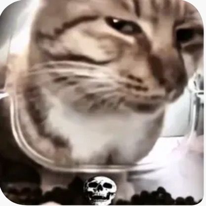 Profile Picture of Zed_marek (@zed_marek) on Tiktok