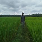 Profile Picture of MUHAMMAD RASHID (@mhdrashidmp) on Instagram