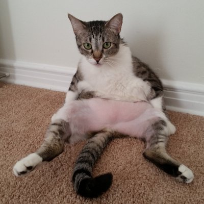 Profile Picture of Clinton Trucks (@ClintTrucks) on Twitter