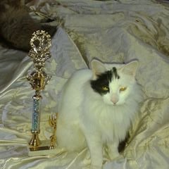 Emanuel Bernal - Twitter Profile Picture of Emanuel Bernal (@EmanuelBernal6) on Twitter