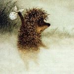 Profile Picture of Andrew Savin (@savin.andrew) on Instagram