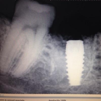 Profile Picture of Paul Serrano (@Borchard654) on Twitter