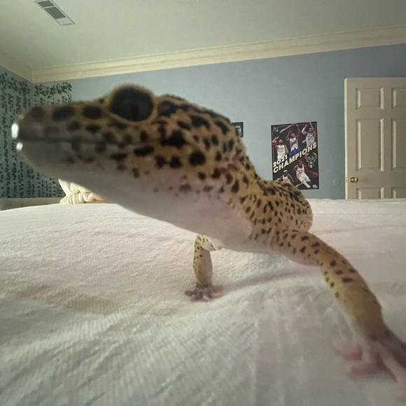 Profile Picture of Paige Hilvers (@paigehilvers) on Poshmark