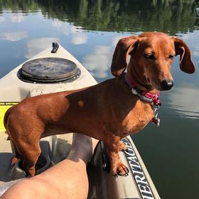 Profile Picture of Bruce Forehand (@forehandipod2) on Pinterest