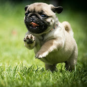 Ellen Knight - Youtube Profile Picture of Ellen Knight (@ellenknight1644) on Youtube