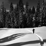 Profile Picture of Jason Sevier (@yarsi) on Instagram