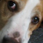 Profile Picture of GregSherry Burkhart (@gregsherryb) on Instagram