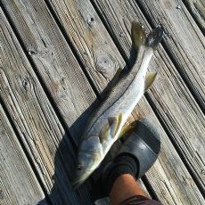 Profile Picture of Gary Shriver (@GaryShriver) on Twitter