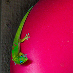 Dave - Flickr Profile Picture of Dave (@dave blackwell photography) on Flickr