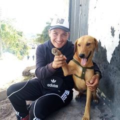 alexspinolad - Tiktok Profile Picture of alexspinolad (@alexspinolad) on Tiktok