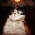 Profile Picture of Michaelmoffett (@michaelmoffett10000) on Instagram