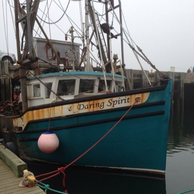 Profile Picture of Mark Amero (@AmeroMark) on Twitter