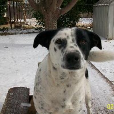 Profile Picture of Nancy Gates (@NmGates6044) on Twitter