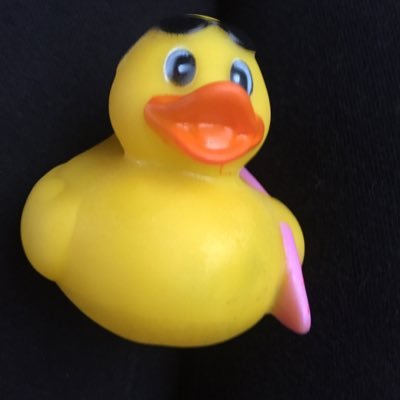 Profile Picture of Debbie The Duck (@debbieducky) on Twitter