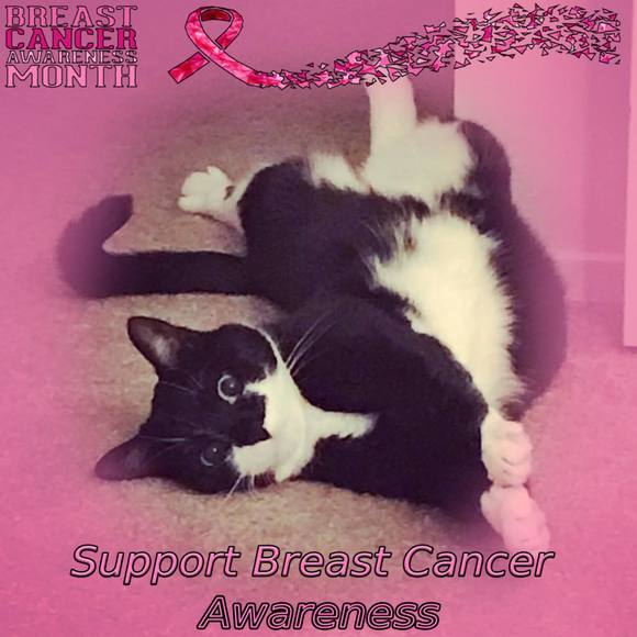 Profile Picture of Katy Marienfeld (@katymarienfeld) on Poshmark