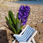 Profile Picture of Alice Magdalena (@alice.vlad.3) on Instagram