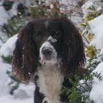 Amanda O'halloran-Ronald - Instagram Profile Picture of Amanda O'halloran-Ronald (@ohalloranronald) on Instagram