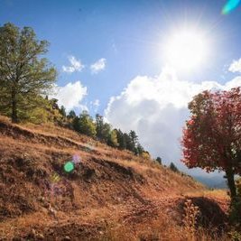 Profile Picture of Hussein Mroué (@HussMro) on Twitter