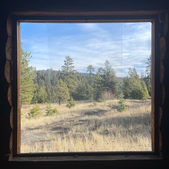 Profile Picture of Olivia Oborne (@o_oborne) on Poshmark