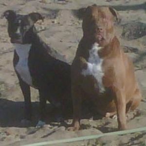 Mckenzie Shear - Myspace Profile Picture of Mckenzie Shear (@227897352) on Myspace