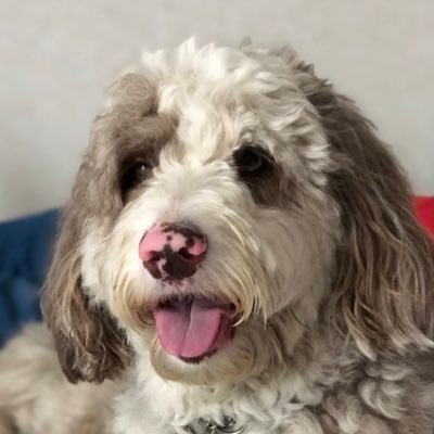 Profile Picture of Maureen Mackey (@maureen__mackey) on Twitter