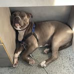 Profile Picture of Denan Bakker (@Denan-Bakker) on Facebook