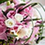 Profile Picture of gloria rodriguez (@gloria rodriguez) on Flickr