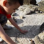 Profile Picture of shawn Rupert (@rupert384) on Instagram