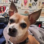 Profile Picture of Brandon Dent Hanagan (@its_brandon_biatch) on Instagram