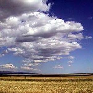 Profile Picture of Tom Lafontaine (@tomlafontaine) on Myspace