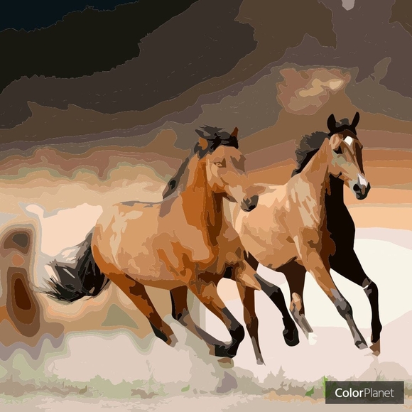 Profile Picture of Bonnie Wickstrom (@bonniewickstrom) on Poshmark