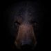 Profile Picture of Josh Watson (@josh.watson.92167) on Facebook