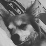 Profile Picture of brandy serrano (@brandyserrano574) on Instagram