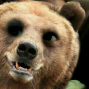 Profile Picture of Kristian Rodriguez (@kristianrodriguez9879) on Youtube