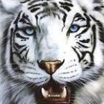Javier Cataño - Instagram Profile Picture of Javier Cataño (@catano.javier) on Instagram