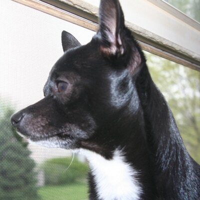 Profile Picture of Cindy Dusthimer (@thebizymom) on Twitter