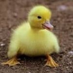 Profile Picture of Cameron Mckenna (@__________glassofwater) on Instagram