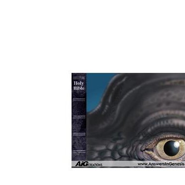 Profile Picture of Michael Tigges (@doethtruth) on Twitter