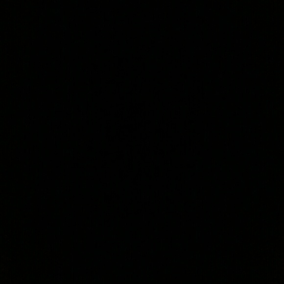 Profile Picture of Chris Daves (@shaolinxl) on Poshmark