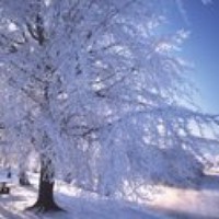 Profile Picture of Noor Al Habbal (@noor-al-habbal) on Quora