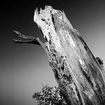 Profile Picture of Kevin Steffanson (@kevin steffanson) on Flickr