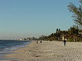 Profile Picture of Bonita Springs, Florida - Wikipediaon Wikipedia